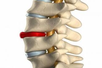 Development mechanism